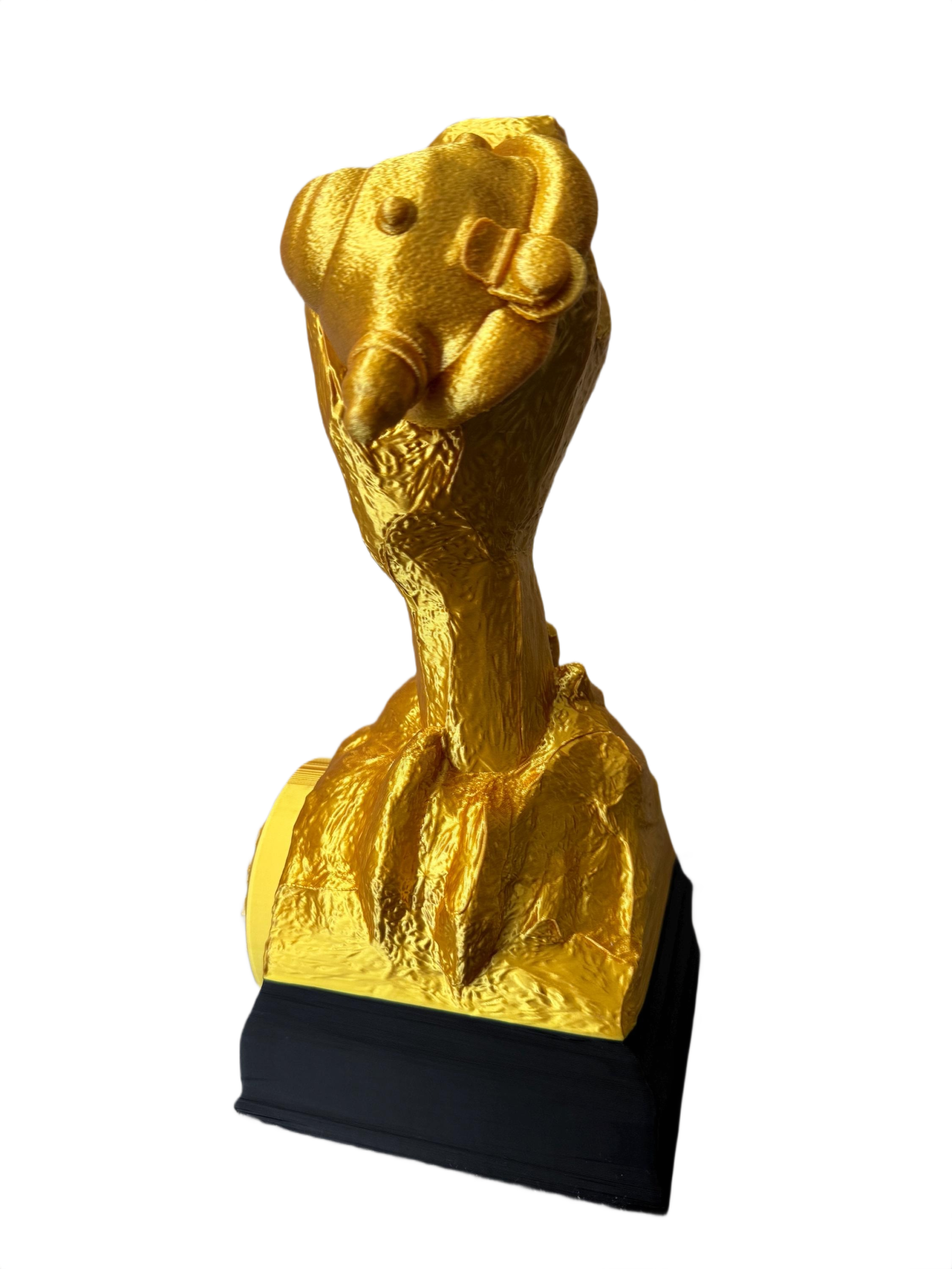 Reborn Trophy 1 - Image 4